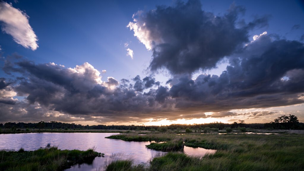 Heathland pool at Thursley Common at sunset, dramatic blue and grey clouds catching the last light above a low golden horizon, reflected in the still water fringed with marsh grasses.