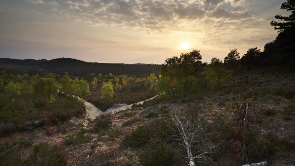 Heathland Valley — United Kingdom
